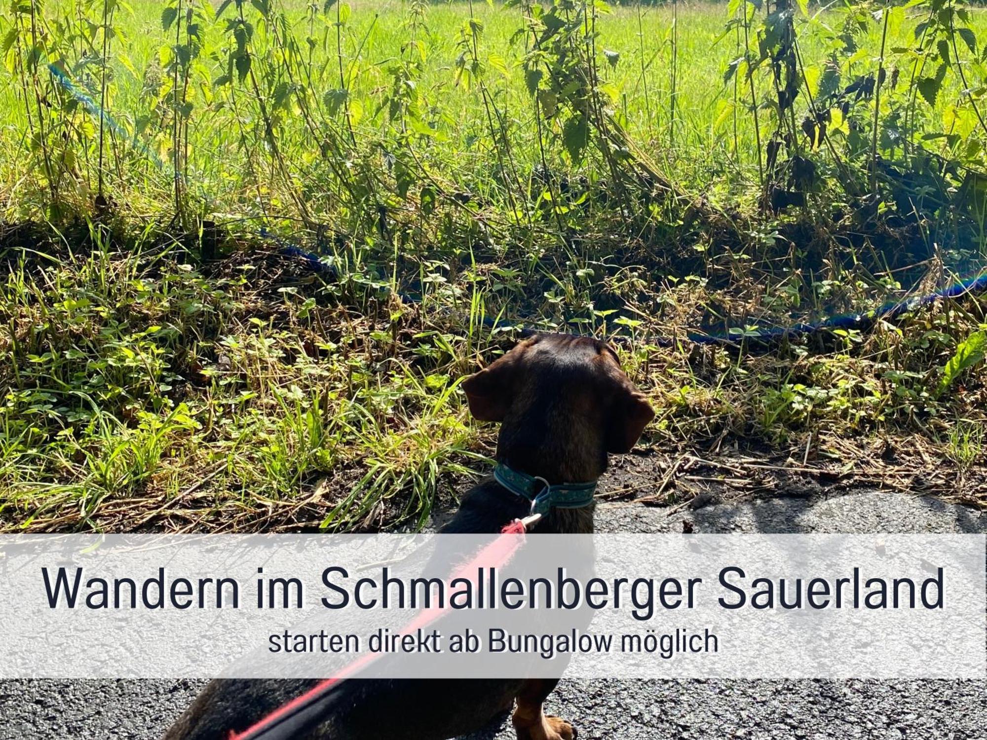 Ferienhaus Dackelglueck シュマレンベルク エクステリア 写真